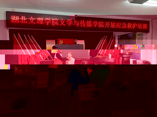 說明: IMG_256